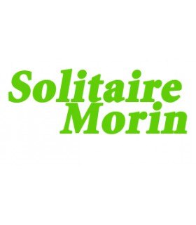 Taud dessus Solitaire Morin Polyester ripstop