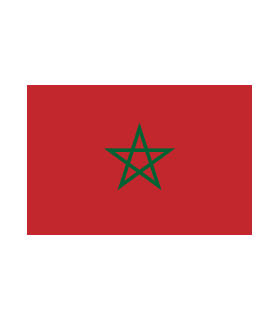 Drapeau Maroc 57x33cm Insignia