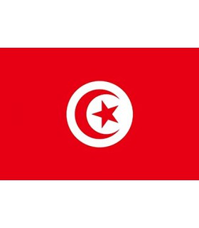 Drapeau Tunisie 57x33cm Insignia
