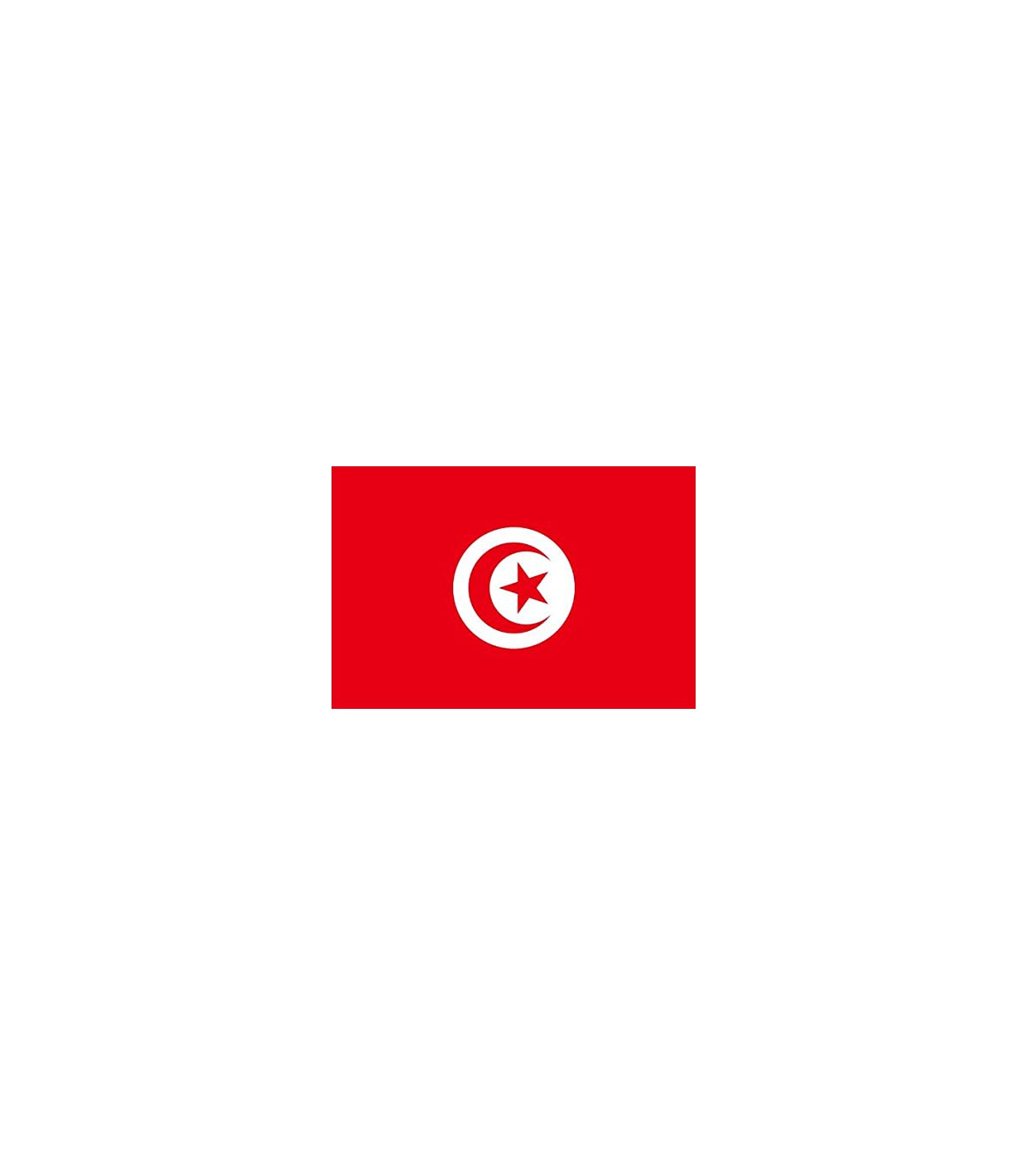 Drapeau Tunisie 57x33cm Insignia