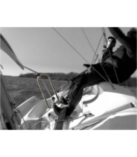 Arceau de GV inox pour Bahia®