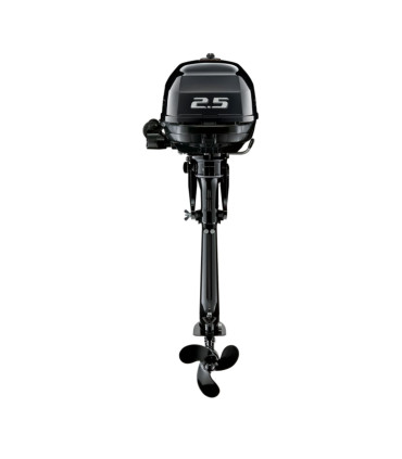Moteur Hors-Bord Suzuki DF2.5 - Portable 4 Temps