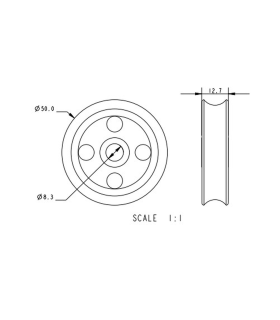Réa nylon 50x13x8mm
