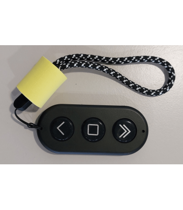 Télécommande sans-fil pour moteur Cruiser et Kicker