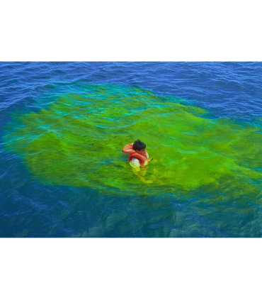 Fluoresceine 40g