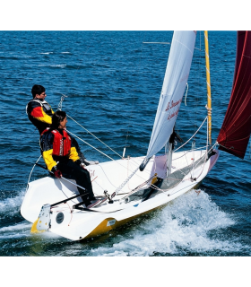 Tête de safran Déclic