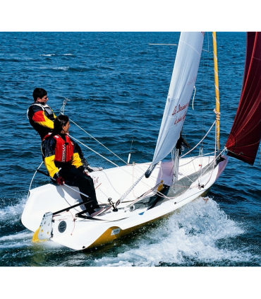 Tête de safran Déclic