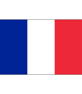 Drapeau France 57x33cm Insignia